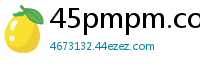 45pmpm.com